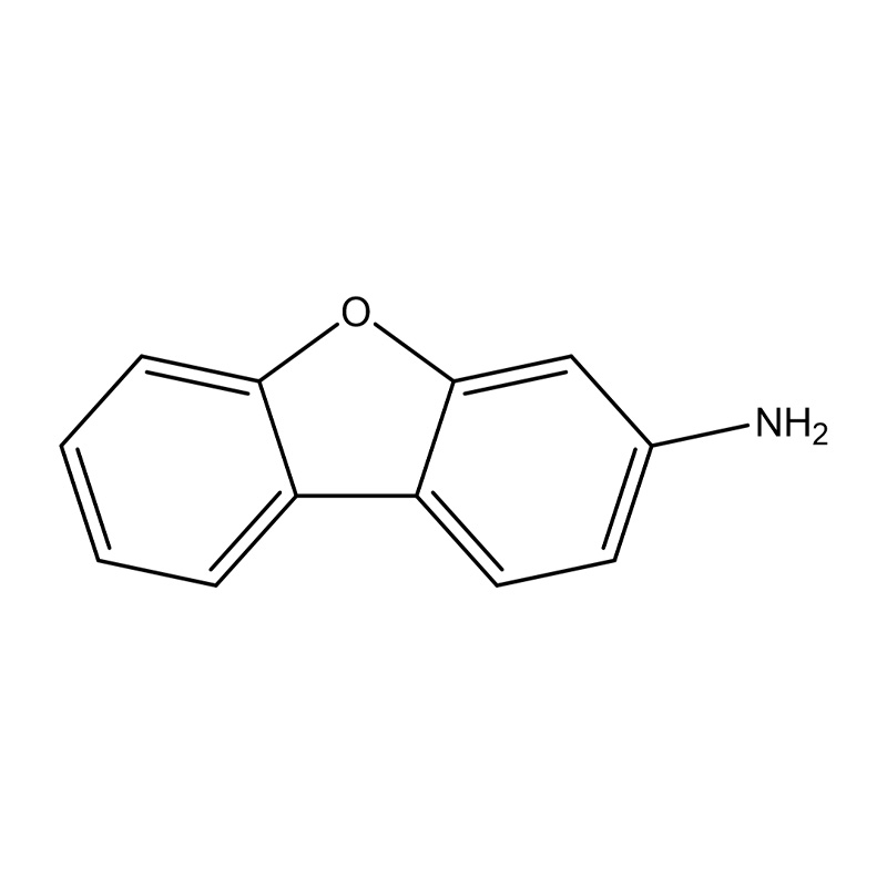 3-アミノ ジベンゾフラン